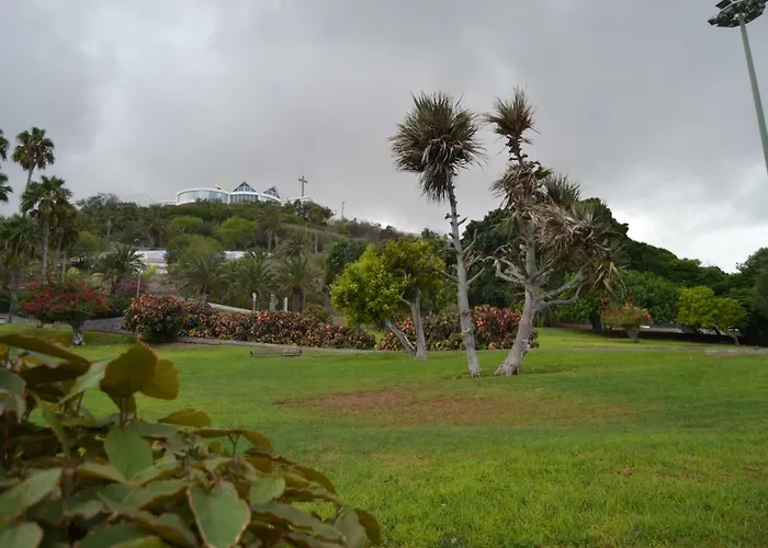 Magnifico Penthouse Palmas *