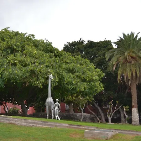 Magnifico Penthouse Palmas *