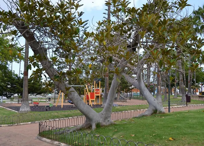 Magnifico Penthouse Palmas