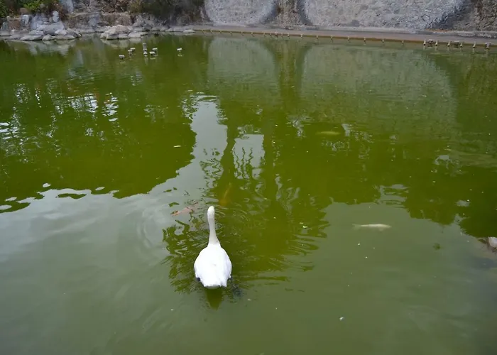 Magnifico Penthouse Palmas דירה לאס פאלמס דה גראן קנאריה