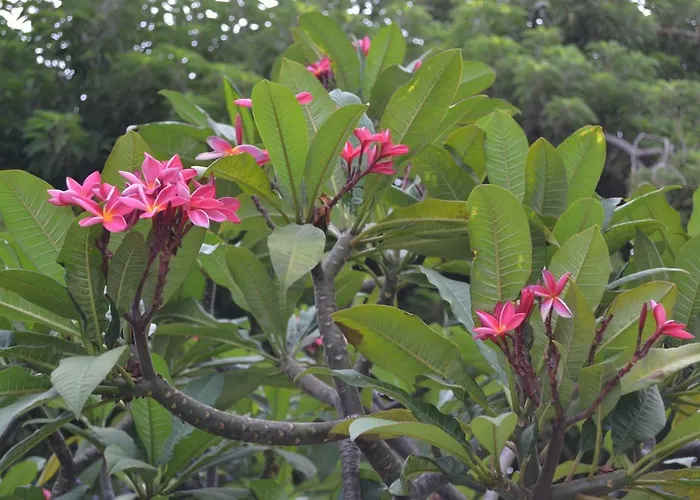 Magnifico Penthouse Palmas Апартаменты Лас-Пальмас-де-Гран-Канария