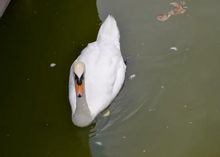 Magnifico Penthouse Palmas לאס פאלמס דה גראן קנאריה