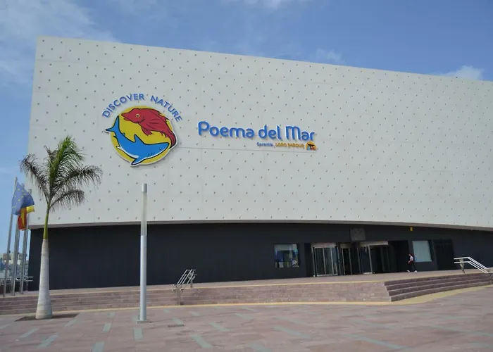 Magnifico Penthouse Palmas *